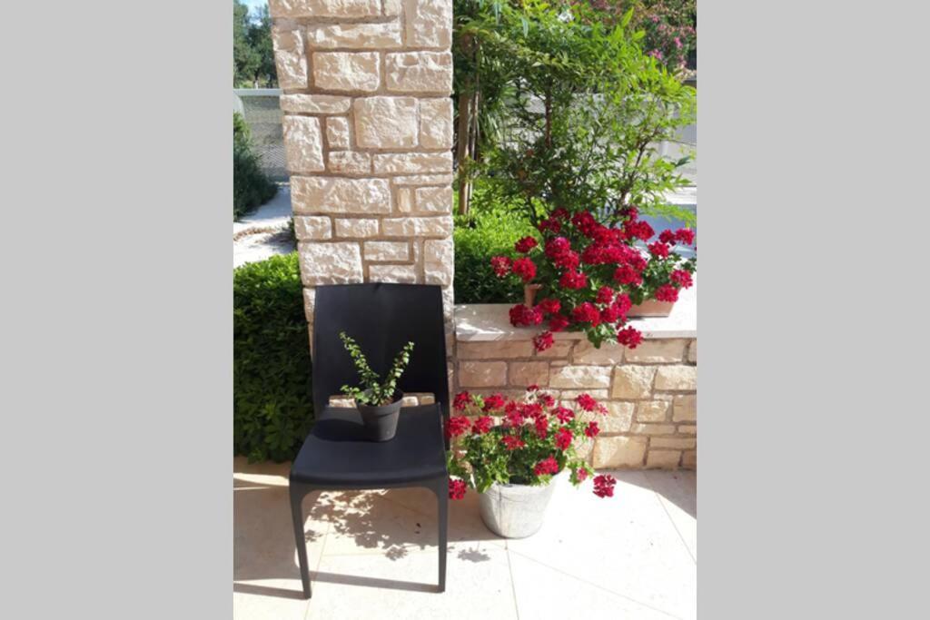 For Families Only - Casa Nora Novigrad Villa Novigrad  Exterior photo